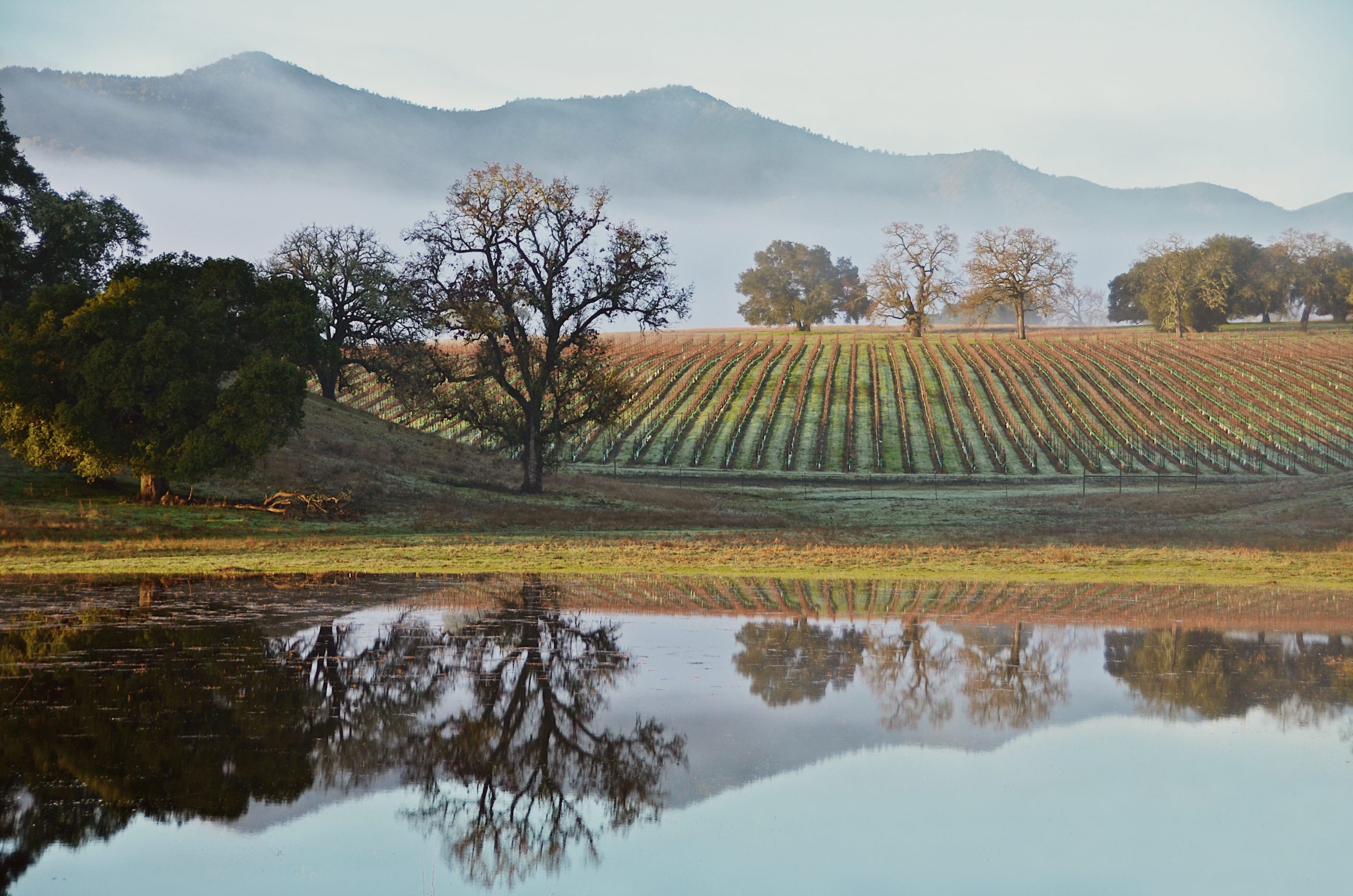 Los Padres ForestWatch’s new fundraiser combines the great outdoors and wine 
