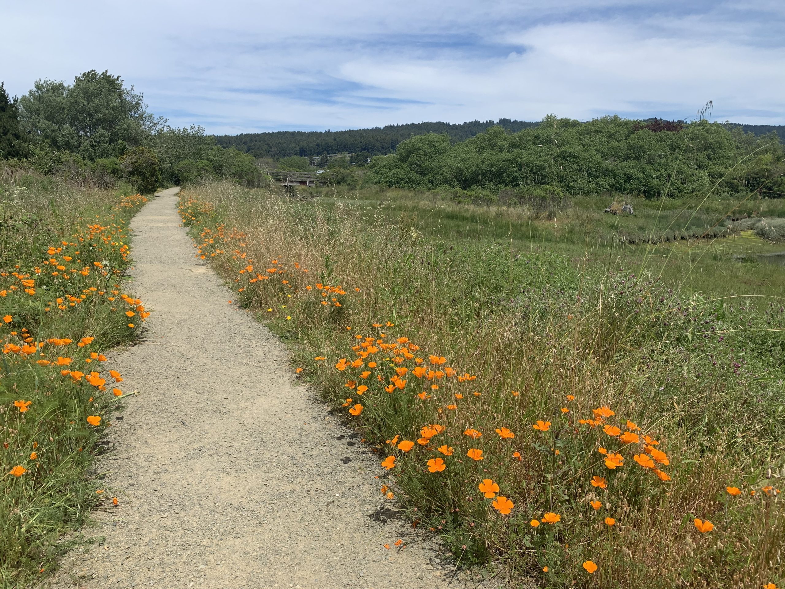 California Trails Survey gathers public input to guide future recreational access in the state 