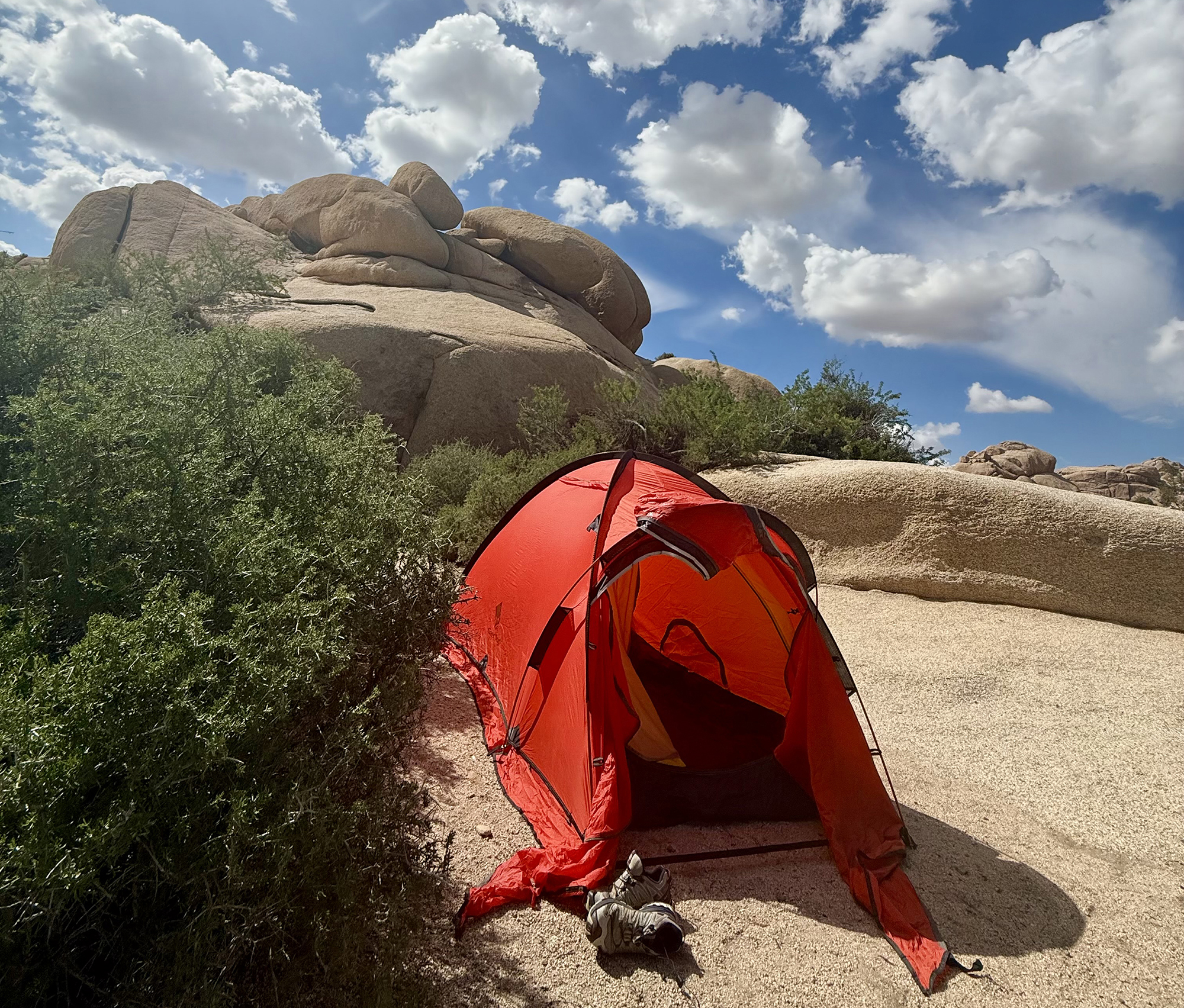 A quick trip through California’s national parks
